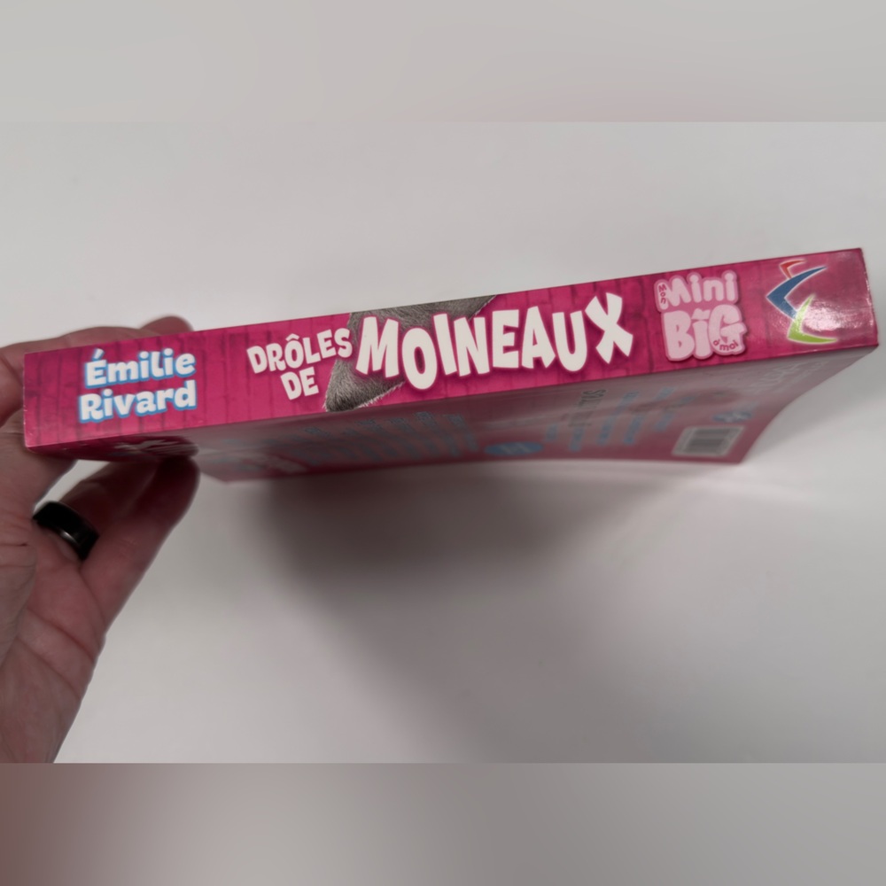 📚 Drôles de moineaux – Émilie Rivard - Picture 3 of 6